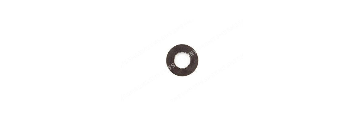 WASHER SPRING LOWER