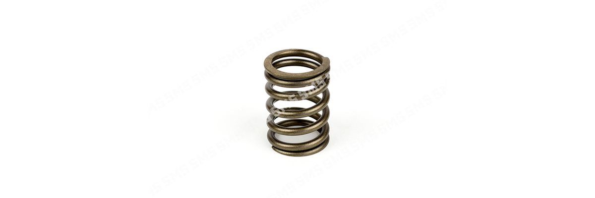 VALVE SPRING Outer