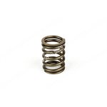 VALVE SPRING Outer