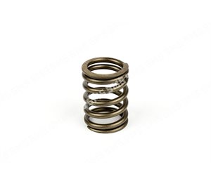 VALVE SPRING Outer