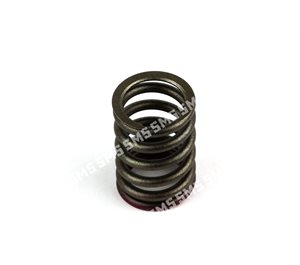 VALVE SPRING