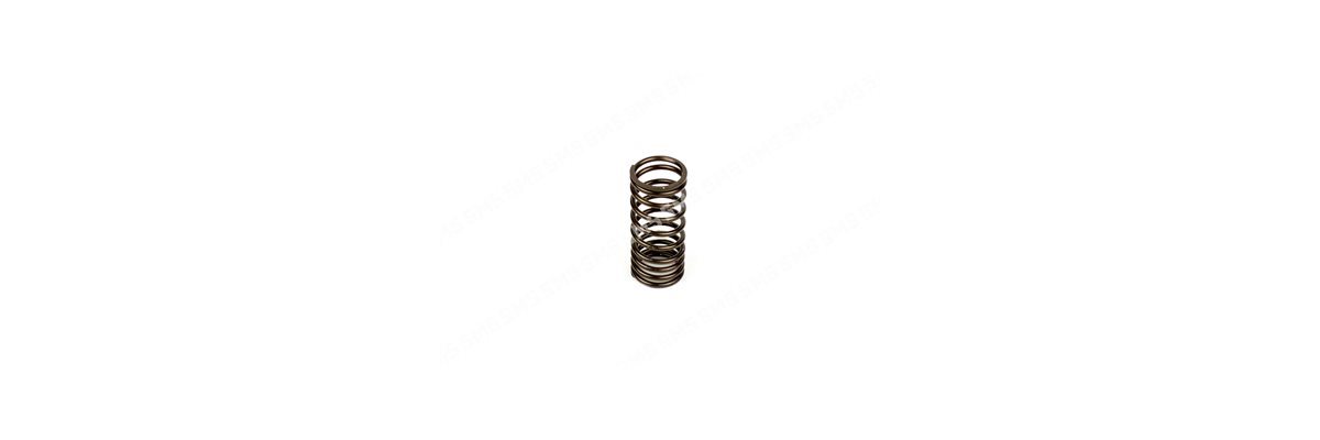 VALVE SPRING Outer (pink)