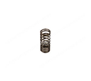 VALVE SPRING Outer (pink)