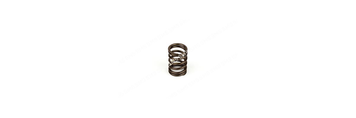 VALVE SPRING Outer