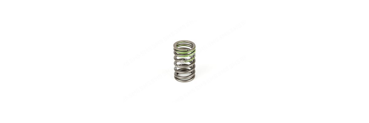 VALVE SPRING Outer (green)