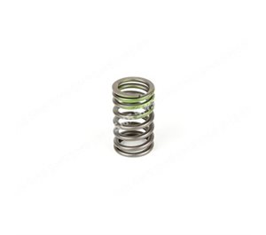 VALVE SPRING Outer (green)