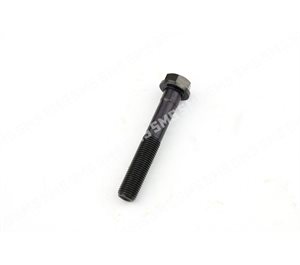 BOLT Main Cap M14 x 89mm