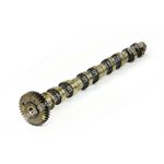 CAMSHAFT Exhaust (includes gear)