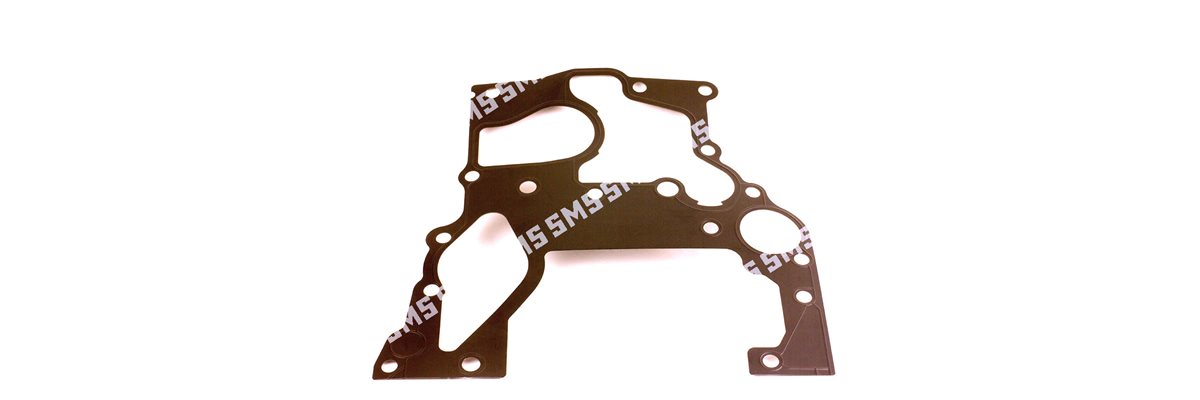 GASKET Timing Case to Crankcase (gear)