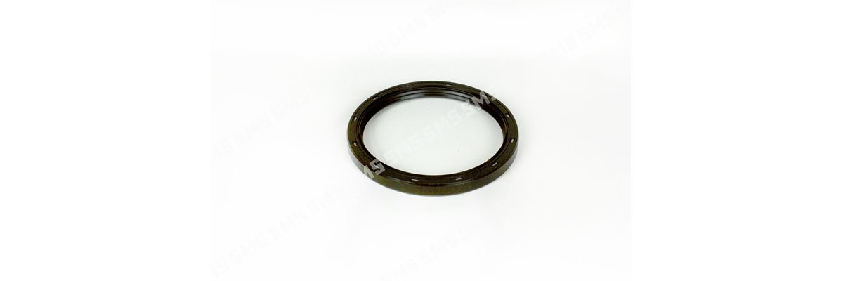 OIL SEAL Rear Main