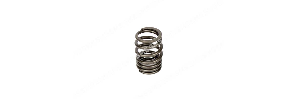 VALVE SPRING Inlet Outer