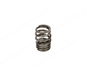 VALVE SPRING Inlet Outer