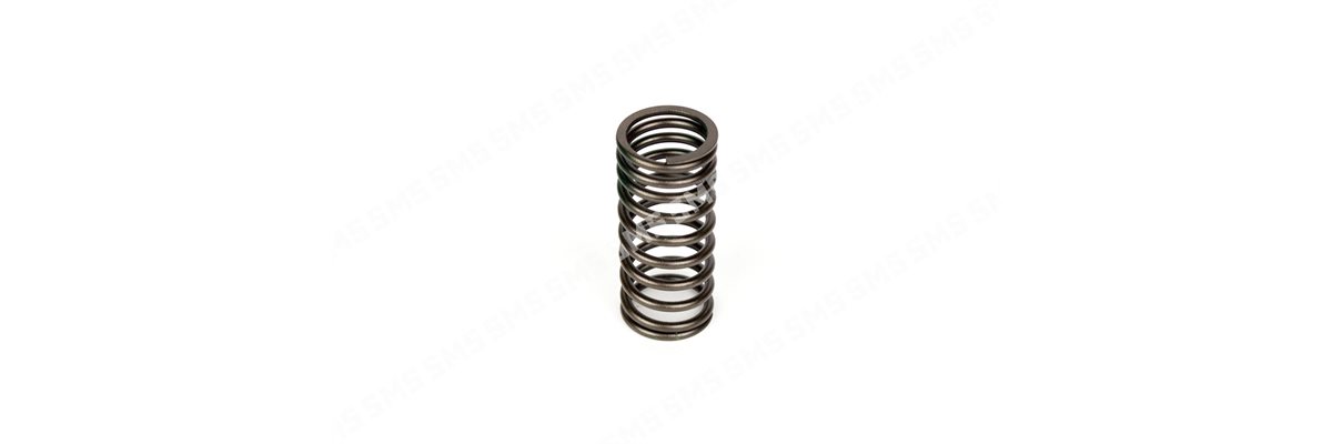 VALVE SPRING Inlet Inner