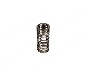 VALVE SPRING Inlet Inner