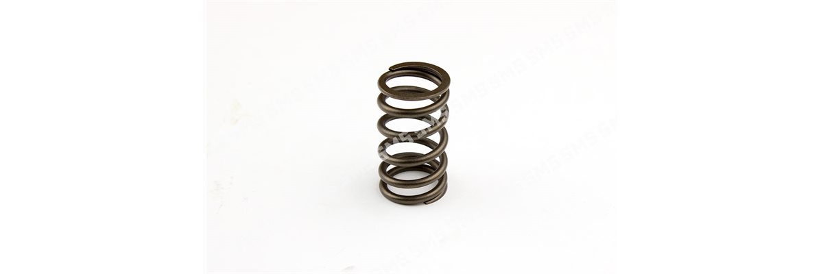 VALVE SPRING (49mm height)