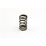 VALVE SPRING (49mm height)