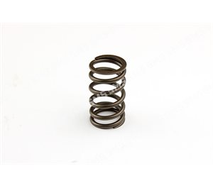 VALVE SPRING (49mm height)