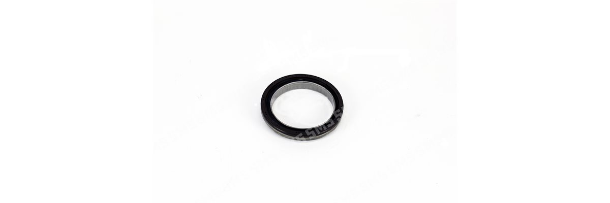 OIL SEAL Timing Case (slinger) OD = 96mm