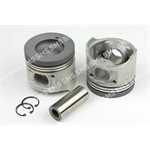 PISTON + PIN (46.80mm bowl)