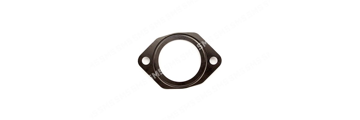 GASKET Thermostat