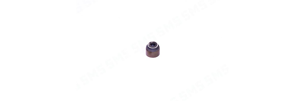 SEAL Valve Stem