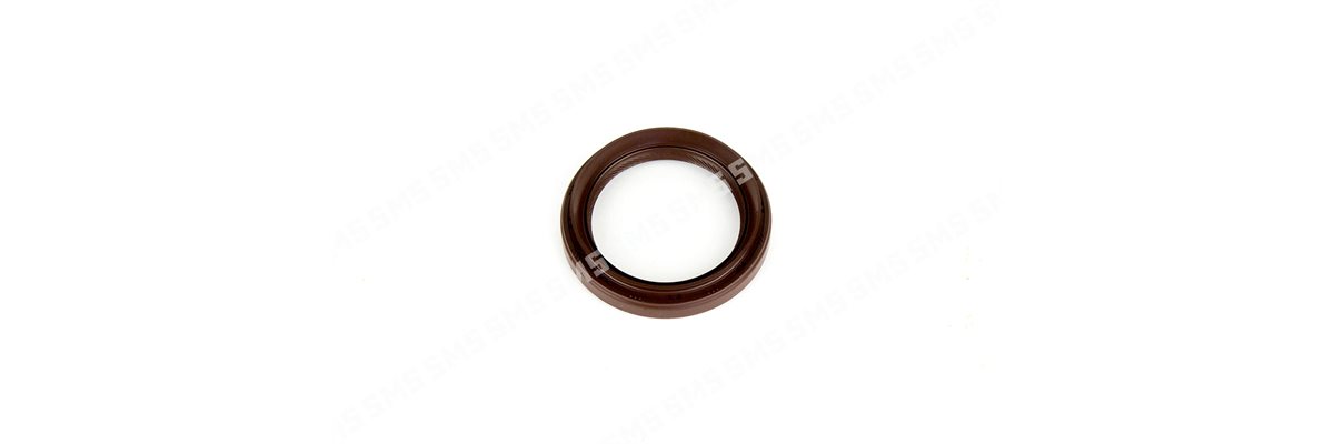 OIL SEAL Timing Case