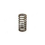 VALVE SPRING