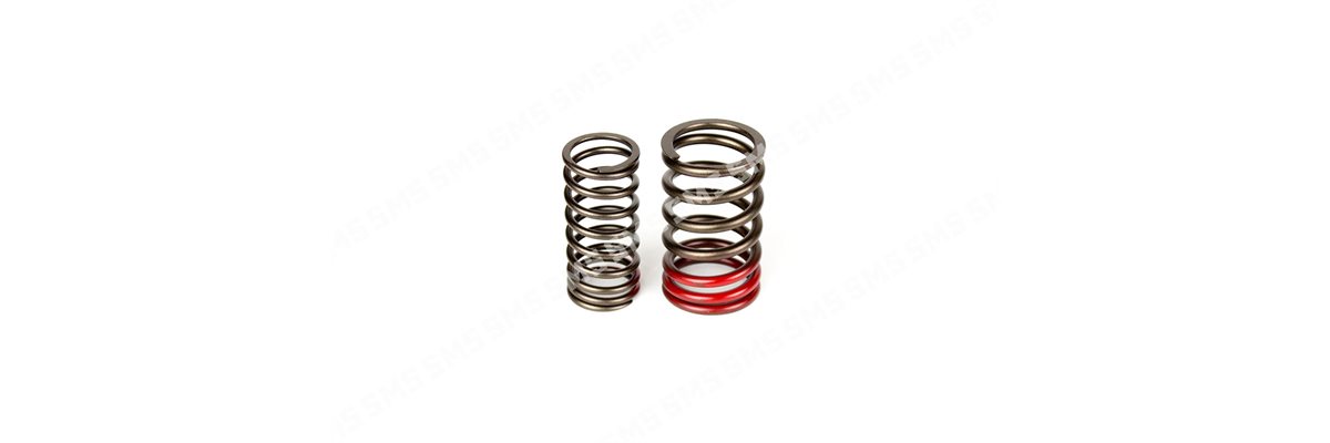 VALVE SPRING KIT (outer+inner)