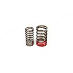 VALVE SPRING KIT (outer+inner)