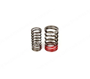 VALVE SPRING KIT (outer+inner)