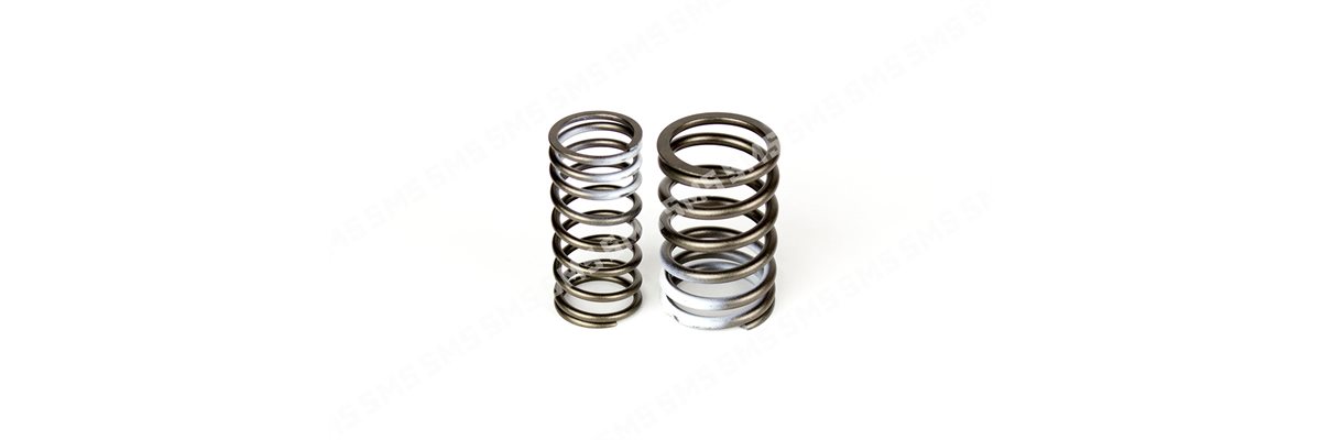 VALVE SPRING KIT (outer+inner)