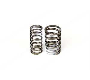 VALVE SPRING KIT (outer+inner)