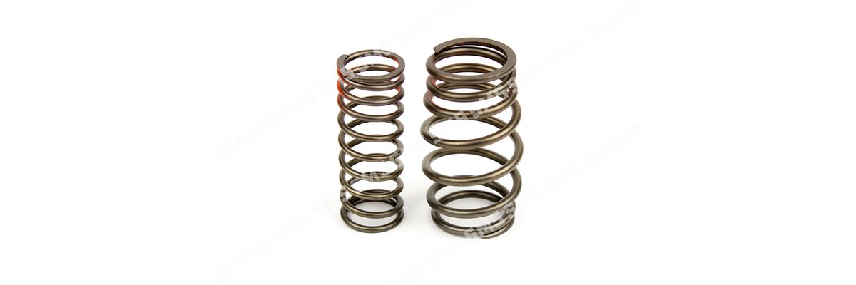 VALVE SPRING KIT (outer+inner)