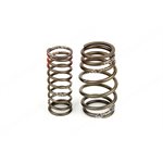 VALVE SPRING KIT (outer+inner)