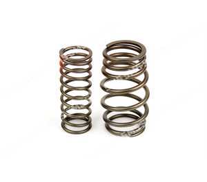 VALVE SPRING KIT (outer+inner)