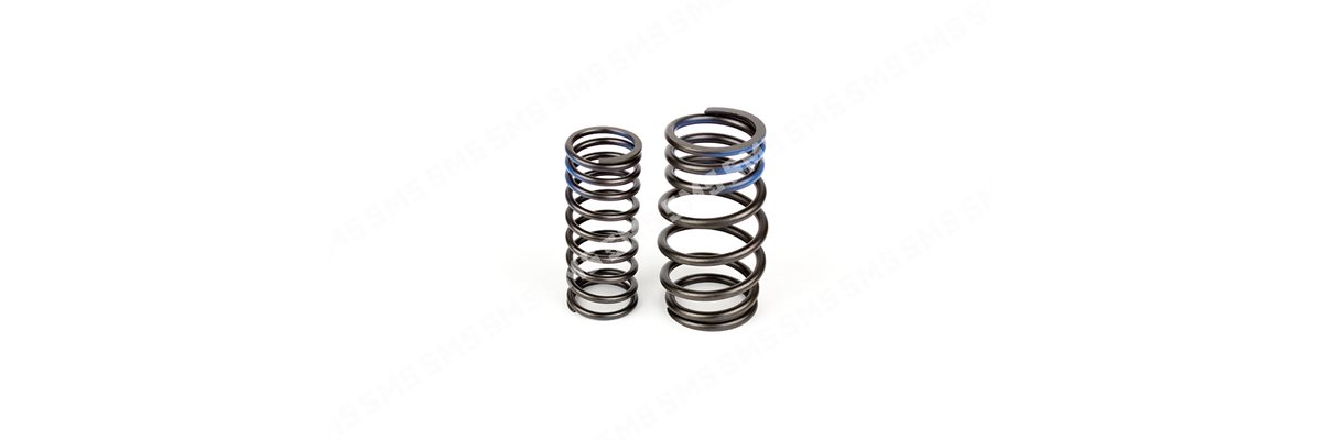 VALVE SPRING KIT (outer+inner)