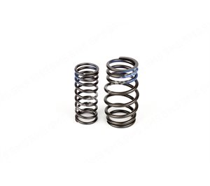 VALVE SPRING KIT (outer+inner)