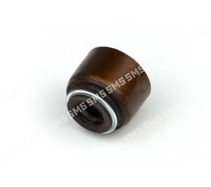 SEAL Valve Stem