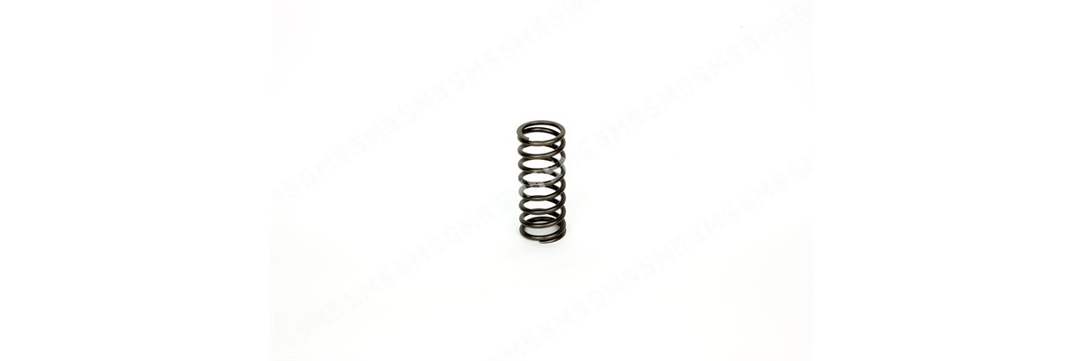 VALVE SPRING Outer