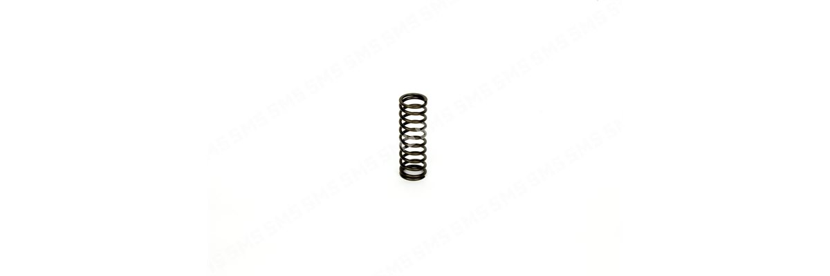 VALVE SPRING Inner