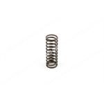 VALVE SPRING