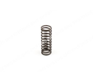 VALVE SPRING