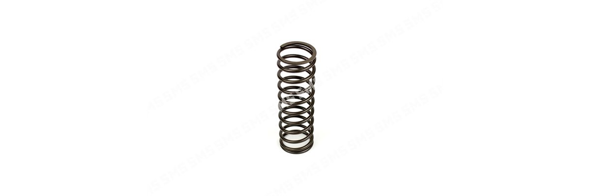 VALVE SPRING Outer