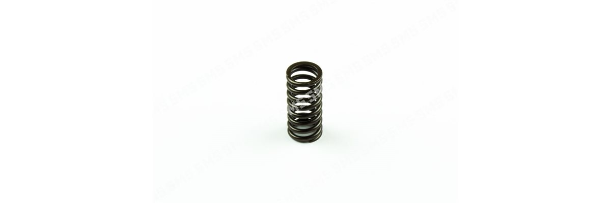 VALVE SPRING