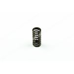 VALVE SPRING