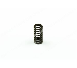 VALVE SPRING