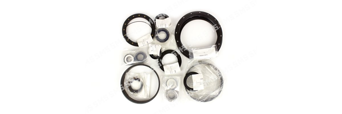 OIL SEAL KIT (no stem seals)