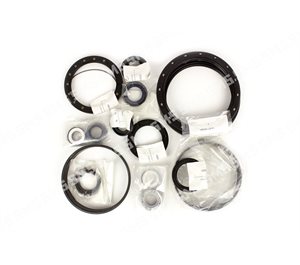 OIL SEAL KIT (no stem seals)