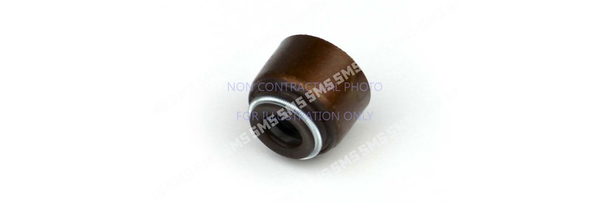 SEAL Valve Stem