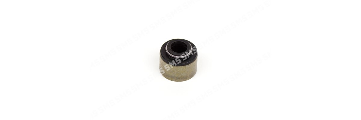 SEAL Valve Stem